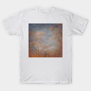 Vintage Landscape 05 T-Shirt